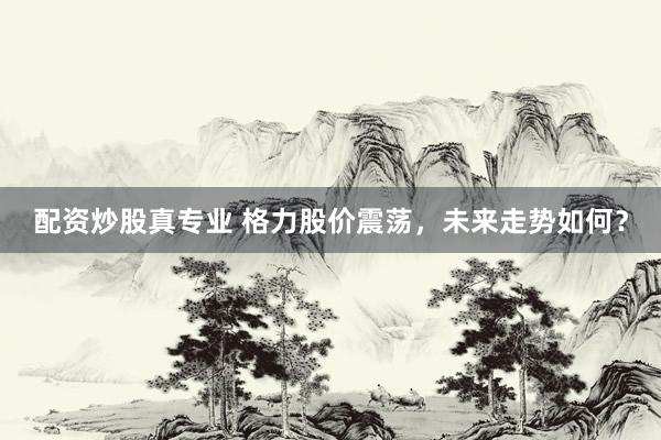 配资炒股真专业 格力股价震荡，未来走势如何？