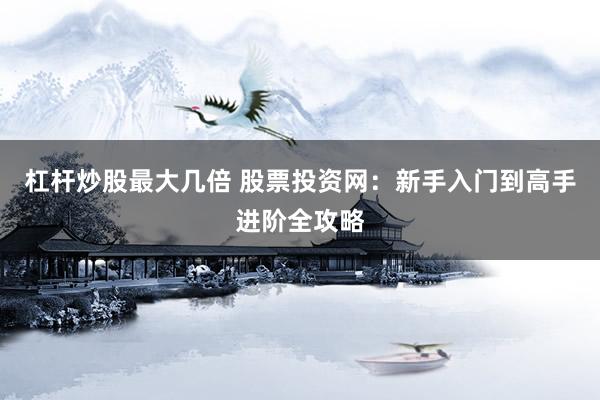 杠杆炒股最大几倍 股票投资网：新手入门到高手进阶全攻略
