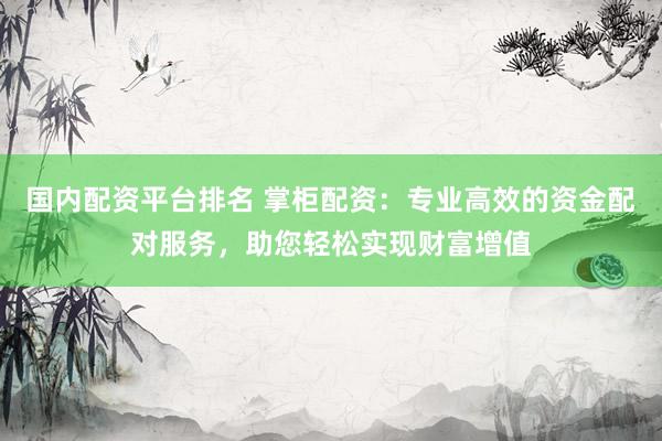 国内配资平台排名 掌柜配资：专业高效的资金配对服务，助您轻松实现财富增值