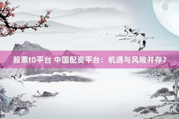 股票t0平台 中国配资平台：机遇与风险并存？