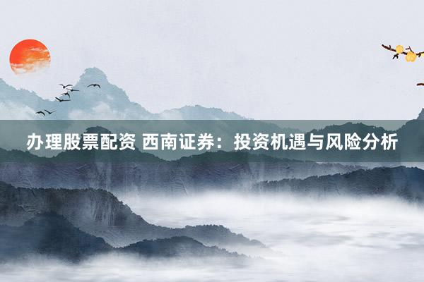 办理股票配资 西南证券：投资机遇与风险分析