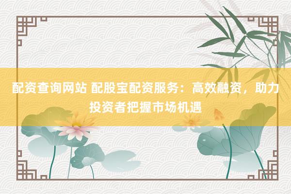 配资查询网站 配股宝配资服务：高效融资，助力投资者把握市场机遇