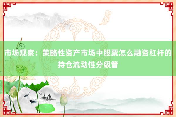市场观察:策略性资产市场中股票怎么融资杠杆的持仓流动性分级管