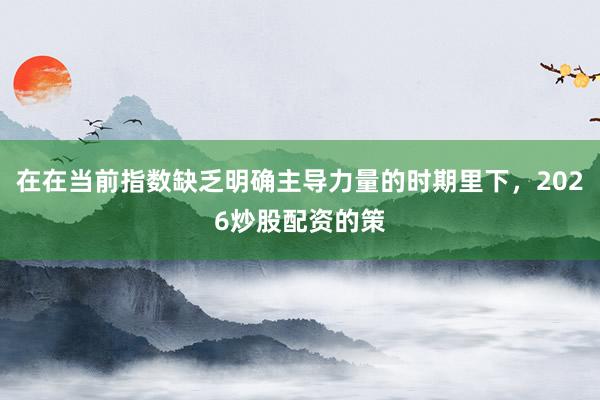 在在当前指数缺乏明确主导力量的时期里下，2026炒股配资的策