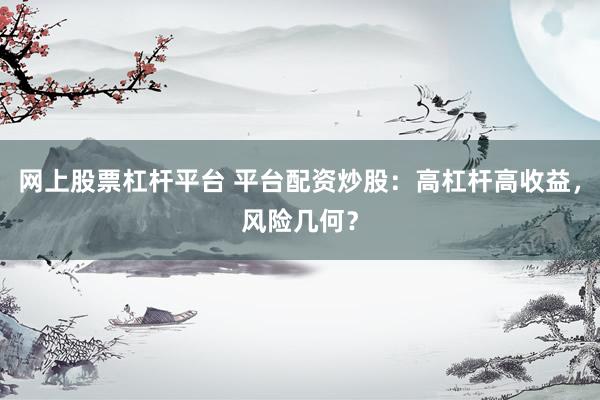网上股票杠杆平台 平台配资炒股：高杠杆高收益，风险几何？
