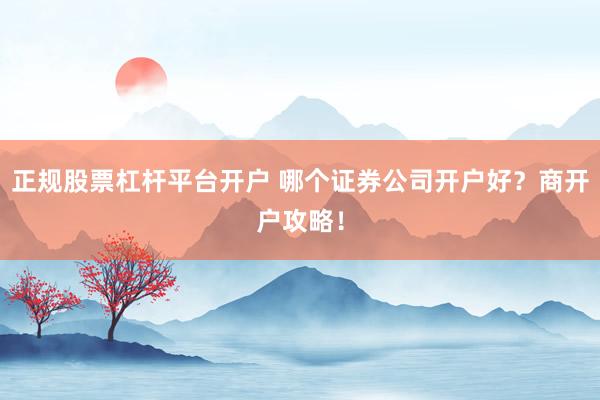 正规股票杠杆平台开户 哪个证券公司开户好？商开户攻略！