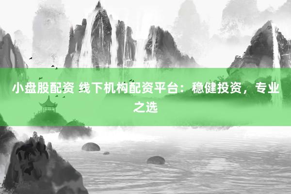 小盘股配资 线下机构配资平台：稳健投资，专业之选
