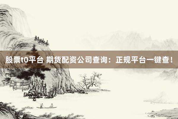 股票t0平台 期货配资公司查询:正规平台一键查!
